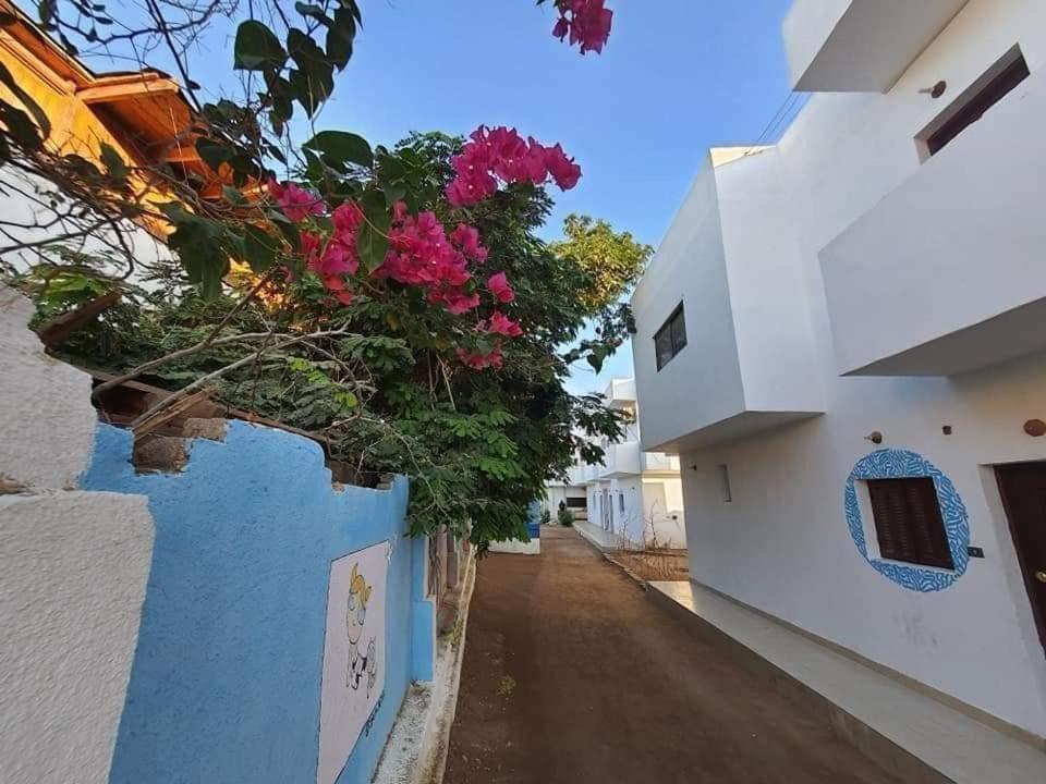 Willa A5Ena House Dahab Zewnętrze zdjęcie